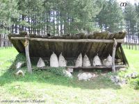 Zlatibor