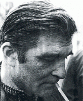 Plavi čuperak  Miroslav Antić