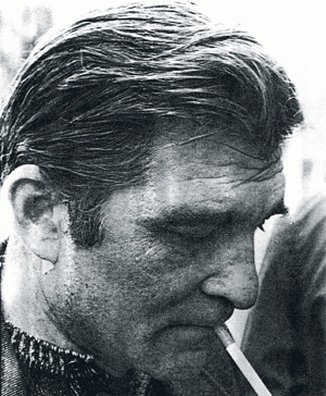 Plavi čuperak Miroslav Antić