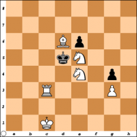 Šahovski problem br. 11