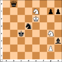 Šahovski problem br. 13