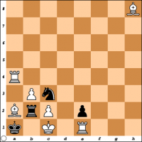 Šahovski problem br. 17