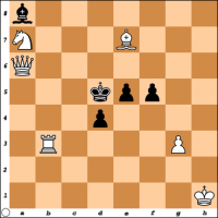 Šahovski problem br. 22