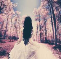 Lepota - Jovan Dučić