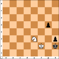 Šahovski problem br. 25