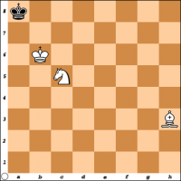 Šahovski problem br. 26