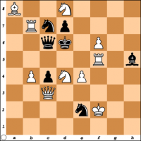 Šahovski problem br. 28